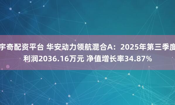宇奇配资平台 华安动力领航混合A:2025年第三季度利润2036.16万元 净值增长率34.87%