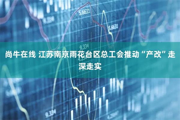 尚牛在线 江苏南京雨花台区总工会推动“产改”走深走实
